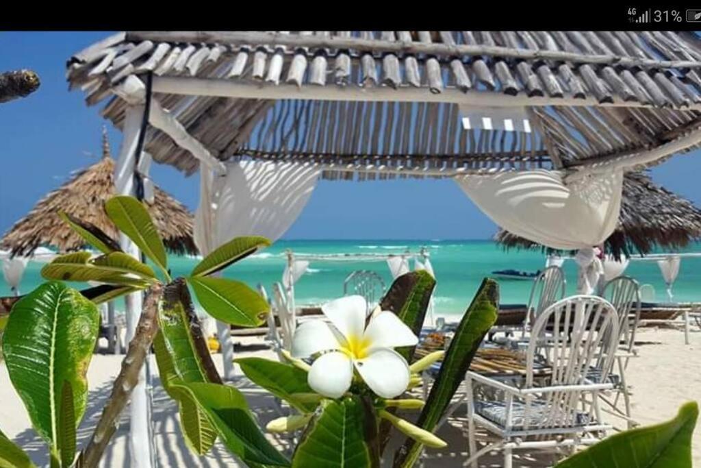 Apartamento Luxury Simba House In Watamu ☆☆☆☆☆ Exterior foto